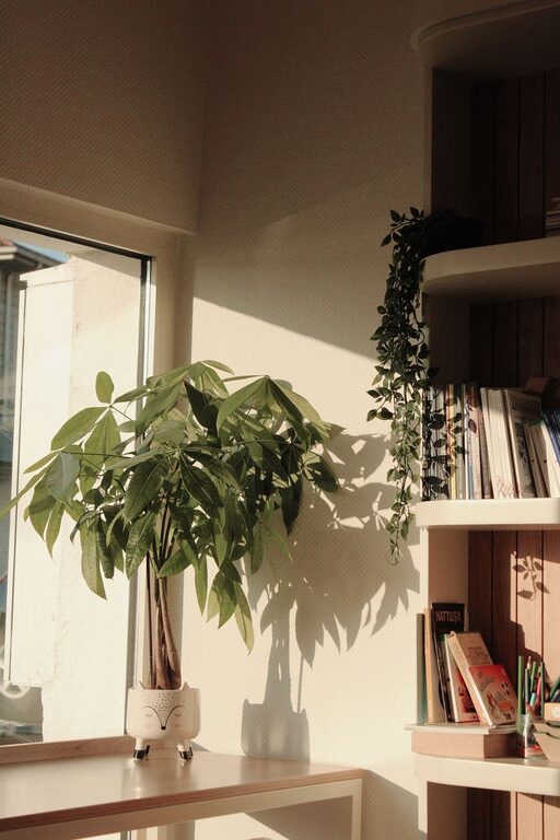 Tips for Creating a Relaxing Home Reading Nook